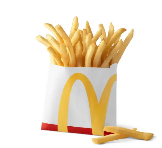 Small World Famous Fries