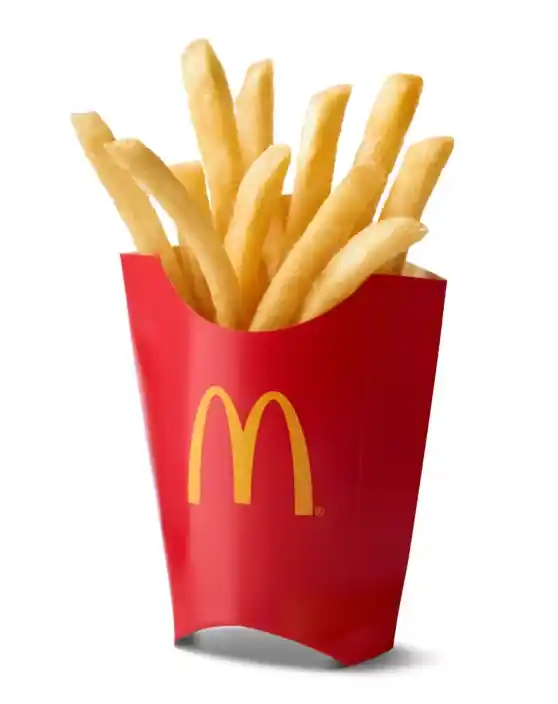World Famous Fries